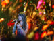 Bluesfest Day 7 review: Ella Langley, Angine de Poitrine unite unlikely crowds Woman sings