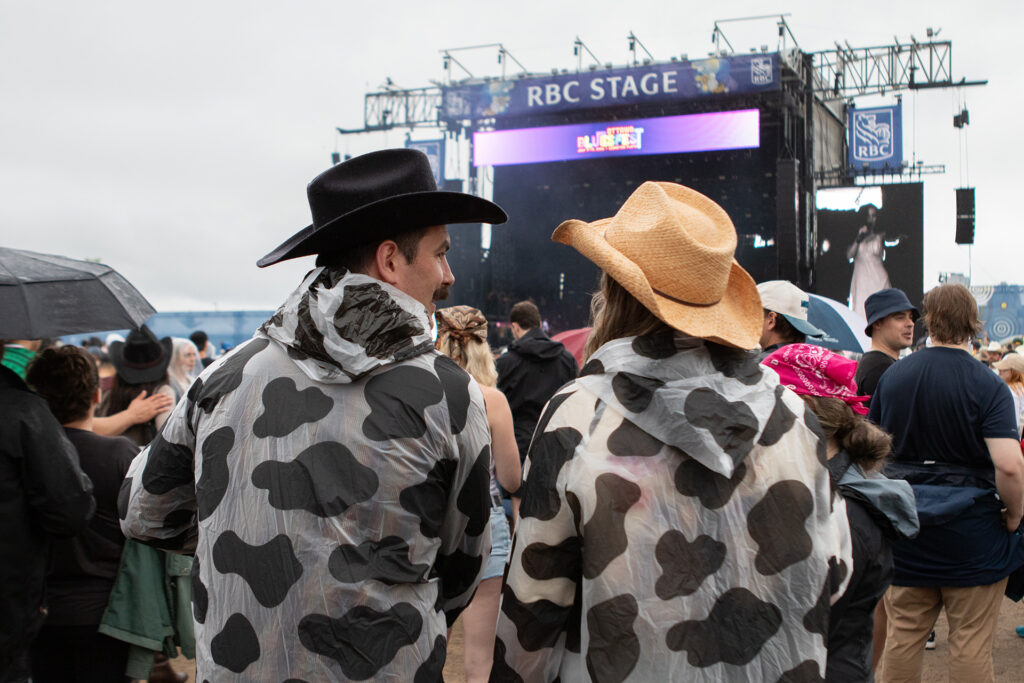 Backs of people in cowprint ponchos